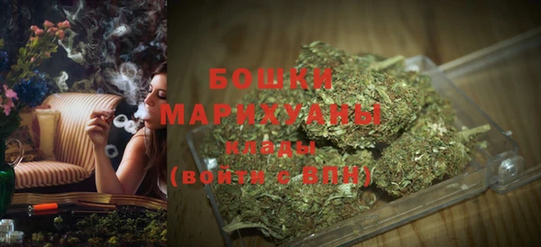 спиды Корсаков