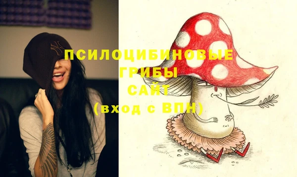 МДМА Козельск