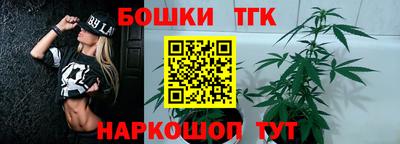 шишки Берёзовский