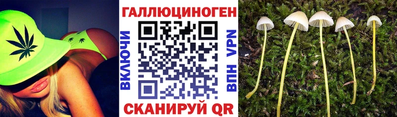 Галлюциногенные грибы мухоморы  Кинешма 