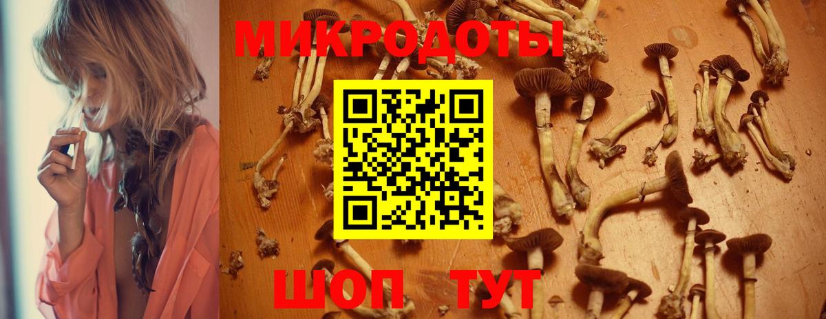 Галлюциногенные грибы мицелий  Кинешма  Галлюциногенные грибы Magic Shrooms 