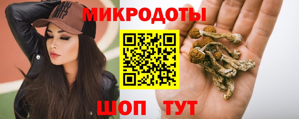 Кинешма  Псилоцибиновые грибы Psilocybine cubensis  Вход с VPN 